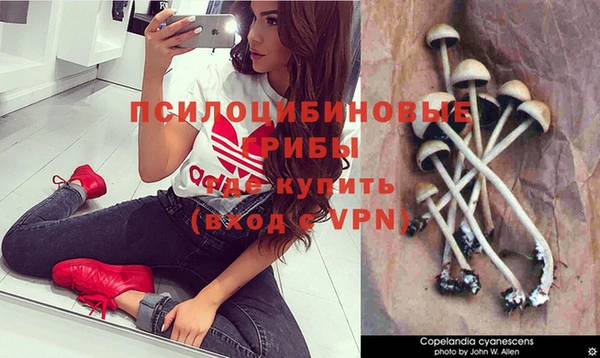 сатива Зеленодольск