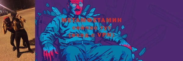 прущие грибы Заволжск
