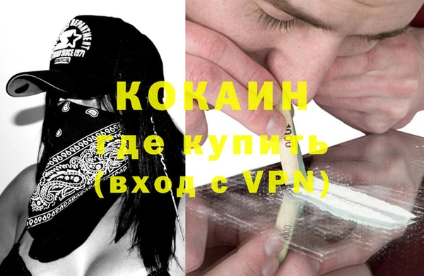 шишки Иннополис