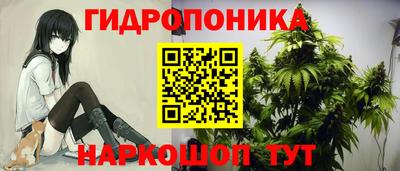 герыч Дубна