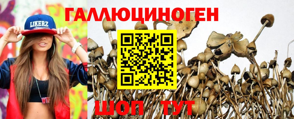Псилоцибиновые грибы Cubensis  Вход с VPN  Псилоцибиновые грибы Psilocybine cubensis  Канаш 